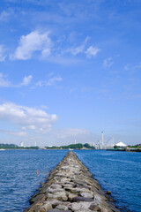 Fototapeta premium 神奈川県横浜市の野島公園