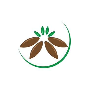 Cassava Icon Logo Vector