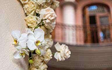 Orquídeas entre rosas blancas 