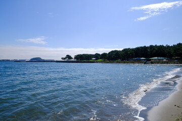 神奈川県横浜市金沢区の海の公園