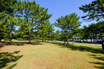 神奈川県横浜市金沢区の海の公園