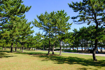 神奈川県横浜市金沢区の海の公園