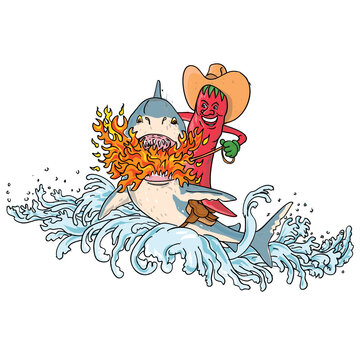 Vintage tattoo style illustration of a cowboy hot chili pepper riding a great white shark breathing fire on a saddle jumping up with waves on isolated white background done in full color.