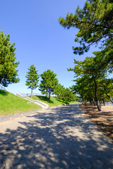 神奈川県横浜市金沢区の海の公園