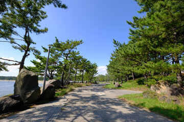 神奈川県横浜市金沢区の海の公園