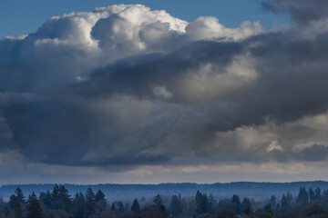 Cloudy Sky Over the Forest