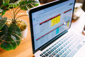 Computador aberto em uma planilha de excel © nathsegato