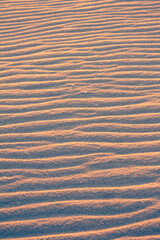 Abstract waves of sand generated by the wind on a deserted beach.