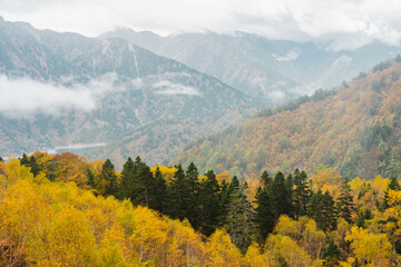 秋の立山黒部アルペンルート　紅葉で黄色に染まる大観峰