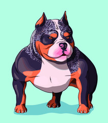 Dog american bully pitbull