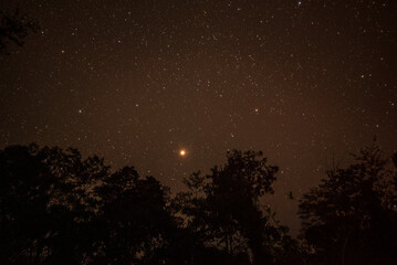 Starry night at the forest, indigenous tribe, ayahuasca