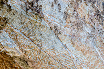 close up of a rock formation