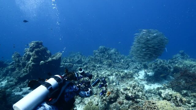 Professional diver, underwater cinematographer filming Bait ball in coral reef of Caribbean Sea around Curacao