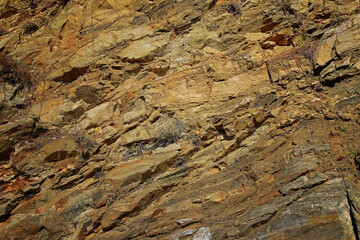wall