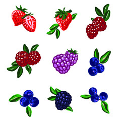 Berries set on the white background. Strawberries, blueberries, raspberries, green leaves. vector