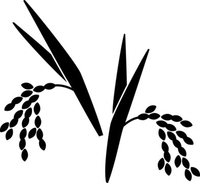 109 848 Best Rice Vector Images Stock Photos Vectors Adobe Stock