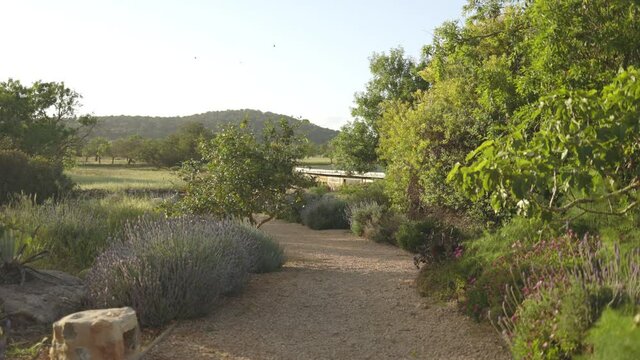 Walk-through beautiful garden landscape on gravel walkway, Gimbal POV