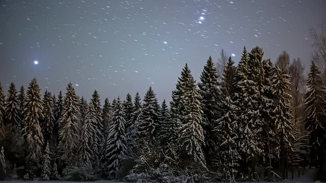 Time lapse shot of snowy pine trees at night and flying stars with Northern Lights at sky in background