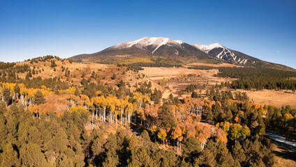  Aerial of snow capped San Francisco Peaks with golden aspens
