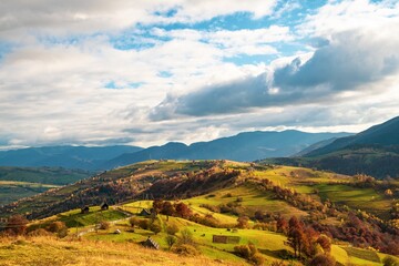 Fototapeta premium A path along the ridge of a hill with a large puddle and an old fence against the backdrop of a colorful forest