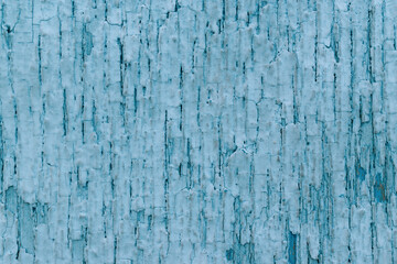 Textured surface with old turquoise paint. Color - Polo Blue. Cracking, weathering.