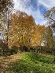 autumn in the park