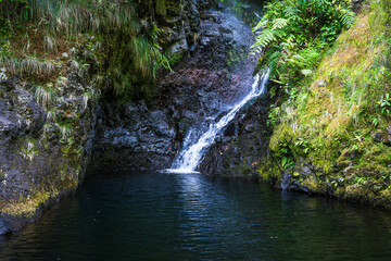 Naklejka na ściany i meble Mini waterfall in Madeira