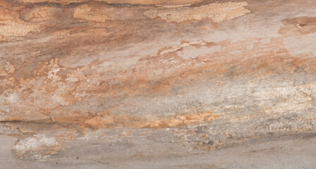 Fototapeta premium Old wooden background