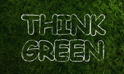 Obraz premium 3d green grass and think green text