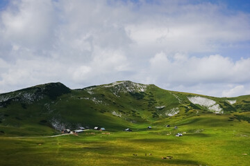 gorgeous green nature reserve with alpine huts and horses in the mountains