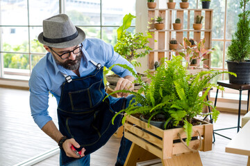 An elderly man handsome with have mustache wearing glasses is happy with tree care. is a hobby of gardening at home, living happily after retirement. Concepts nature and environment