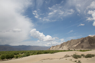 美しい風景の中のランドスケープ
