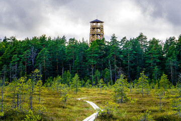 Watch tower made of wood in a forest with moorland in the foreground in Lahemaa National Park,...