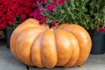 Big orange ornamental pumpkin on the doorstep as a part of Thanksgiving or autumn decoration. Close up