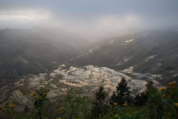 美しい風景