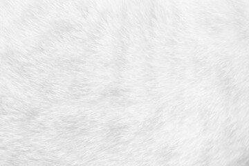 Cat fur close up background texture. White abstract stripes.