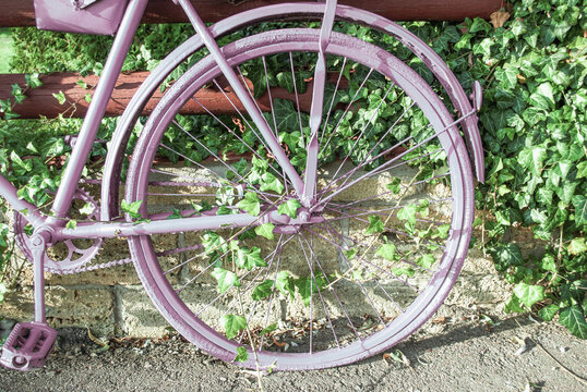 Painted pink color vintage bike detail. Pastel colour retro bicycle wheel