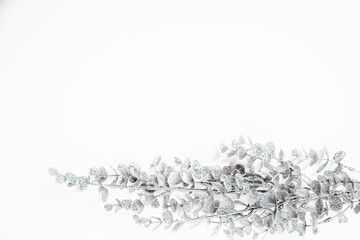 Greeting card for the Christmas holidays with silver branch
