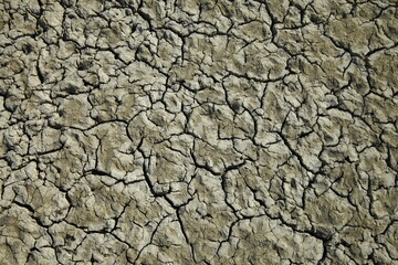 Climate warming dry chapped land