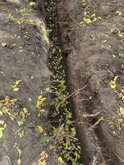 trench in the ground in autumn