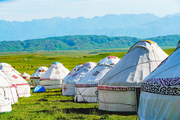 Yurt and grassland scenery,Outdoor life of nomads