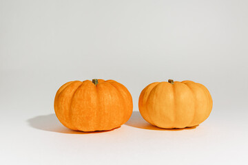 Fresh ripe orange pumpkins on white background. Space for text mockup Halloween concept
