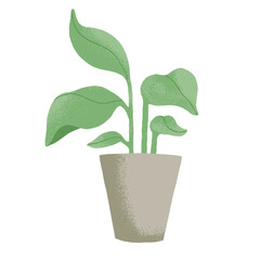 potted house plant vector illustrations in simple flat hand drawn style. Collection of green leafy indoor plants design assets isolated on white background