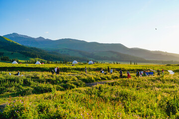 Obraz premium Prairie pasture, expansive natural scenery, sunset light