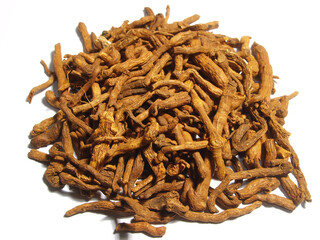 Polygonatum odoratum var. pluriflorum, roast dried a Solomon's seal root isolated on white background