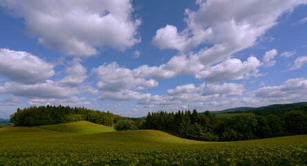 Landschaft in Niederösterreich, Krumbach in der buckligen Welt