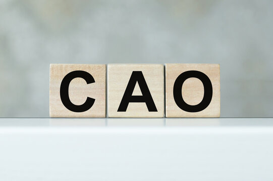 CAO - Chief Accounting Officer - text on wooden cubes, on a light table, in isolation