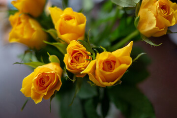 yellow roses 