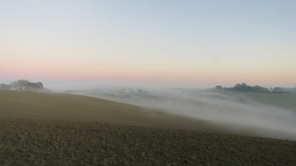 Tra la nebbia