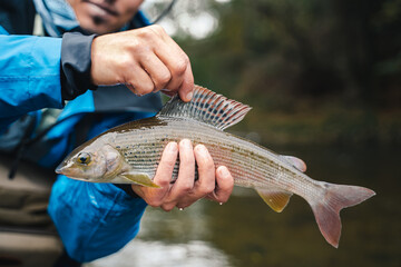 Young fisherman holding his trophy fish in hands caught using fly fishing technique.
